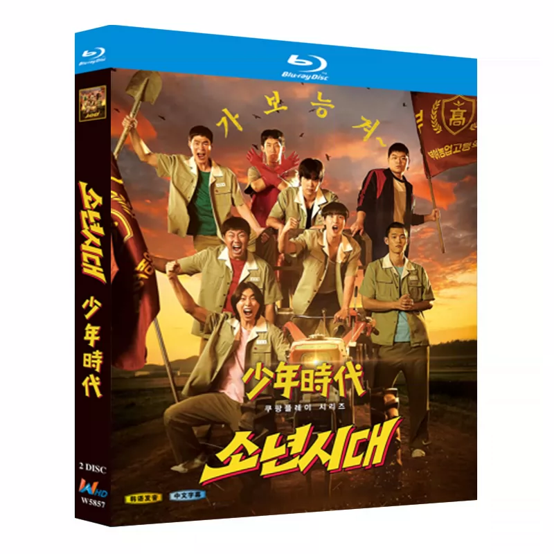 韓国ドラマ「少年時代」 ブルーレイ[Blu-ray-BOX] 2-DISC イム・シワン イ・ソンビン