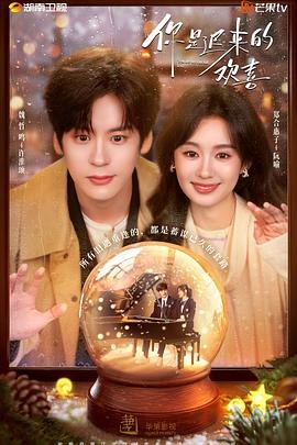 中国ドラマ「君は遅れてきた喜び」 DVD-BOX 6-DISC 魏哲鳴 鄭合惠子