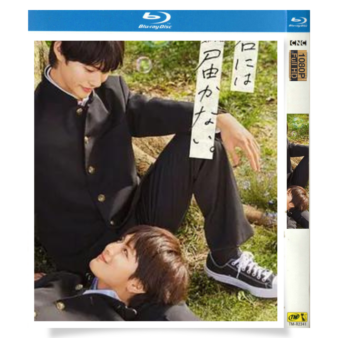 日本ドラマ「君には届かない。 (2023)」 ブルーレイ[Blu-ray-BOX] 2-DISC 前田拳太郎 柏木悠