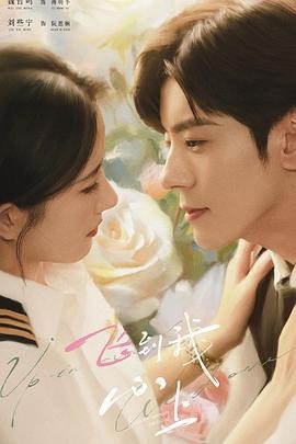 中国ドラマ「飛到我心上」 ブルーレイ[Blu-ray-BOX] 3-DISC 魏哲鳴 劉些寧