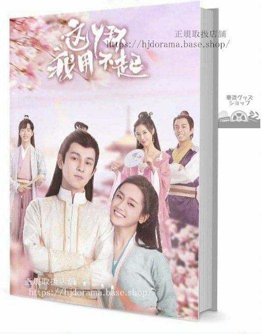 『這鬟我用不起』岳子 楊瀟 鄭湫泓 王潤澤 写真集セット ドラマ 俳優写真集1冊 A4ポスター4枚 LOMOカード10枚