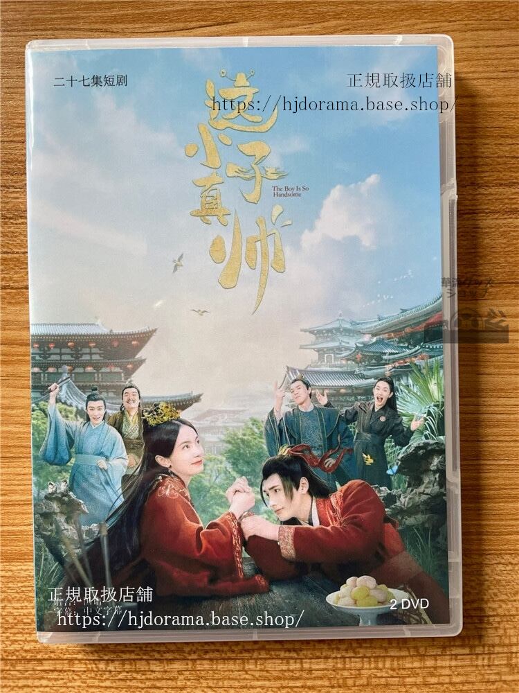 中国ドラマ 這小子真帥　2022 DVD 全話 海外盤