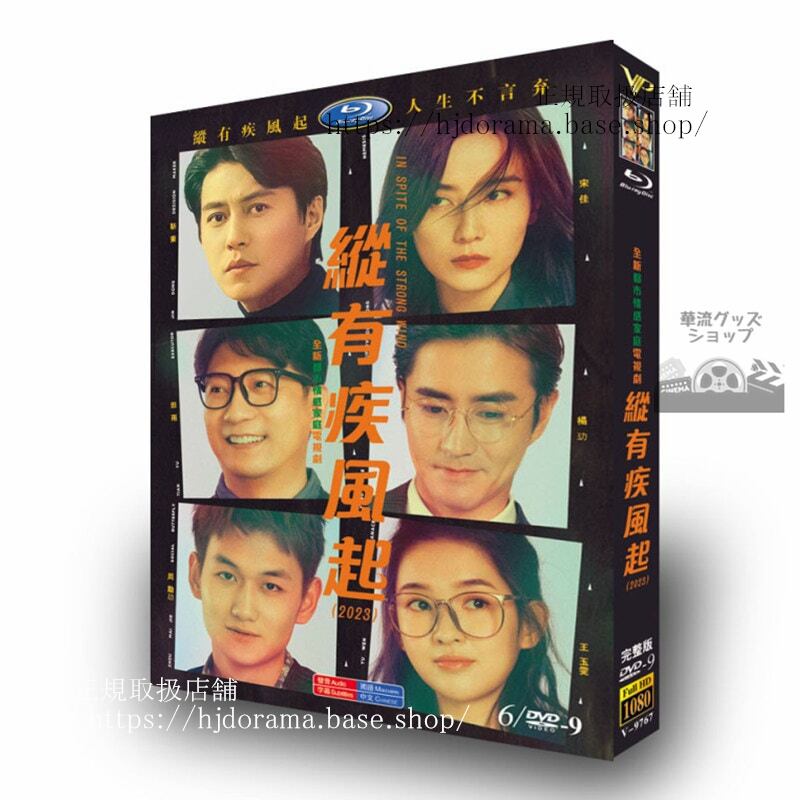 中国ドラマ『?有疾?起』2023 DVD　ジャケット経済版　高画質　全話 海外盤