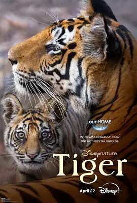 日本語字幕『Tiger (2024)』ブルーレイ1-DISC[Blu-ray-BOX]高画質海外盤正規品
