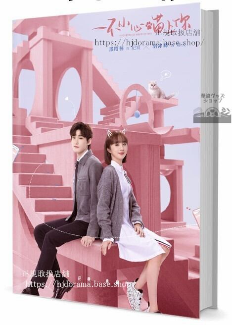 華流ドラマ一不小心上 Accidentally Meow On You　写真集1冊 A4ポスター4枚 しおり4枚 LOMOカード10枚