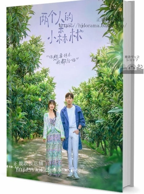 中国ドラマ　个人的小森林　写真集1冊 A4ポスター4枚 しおり4枚 LOMOカード10枚