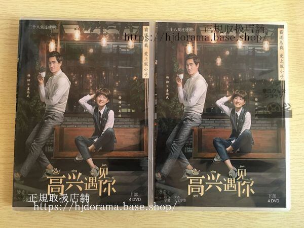 中国ドラマ『高興遇見袮』DVD-BOX シュールー 施予斐 曹衛宇 Prince Coffee Lab 中国盤 日本語字幕なし10283