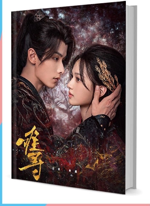 中国ドラマ『??/難尋』写真集1冊 A4ポスター4枚 しおり4枚 LOMOカード10枚