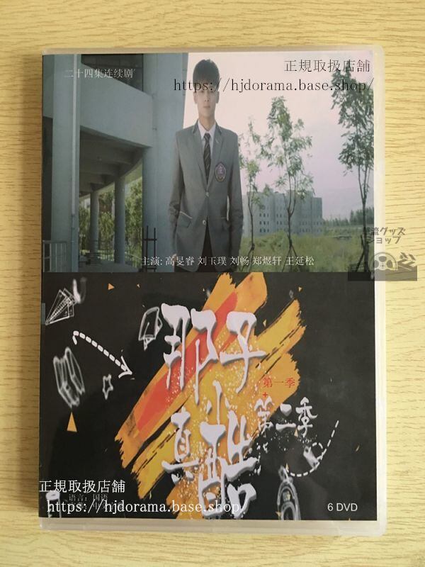 中国ドラマ『那小子真酷』お兄ちゃんカッコいい DVD-BOX 劉暢 全話 中国盤華流ドラマ