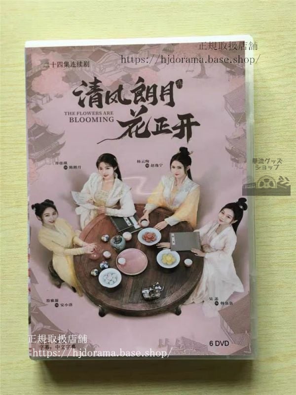 中国ドラマ『清風朗月花正開』DVD-BOX 許佳琪 シュージャーチー 黄聖池 ホァンシェンチー 華流ドラマ
