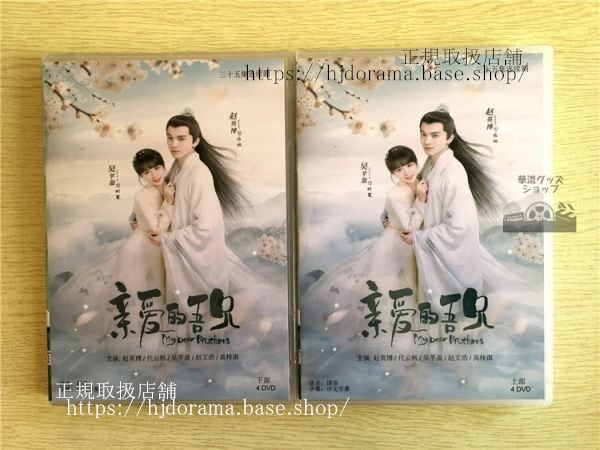中国ドラマ『親愛的吾兄』DVD-BOX 趙英博 チャオインボー 代雲帆 ダイユンファン My Dear Brothers 全話 中国盤