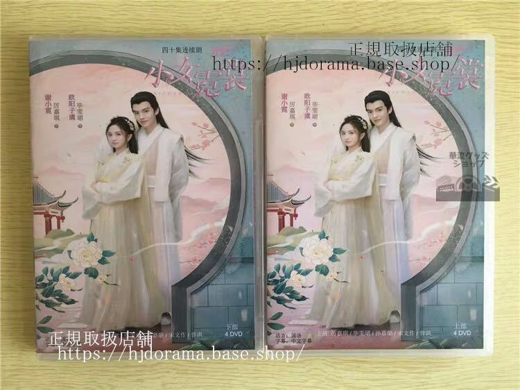 中国ドラマ【霓裳（げいしょう）七色に輝く虹の如く】DVD-BOX Ni Chang 畢 ビーウェンジュン 厲嘉琪 中国盤