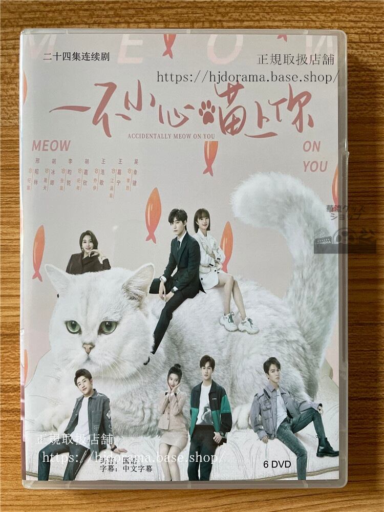 中国ドラマ　原題： 一不小心?上?. 英題：Accidentally Meow on You　DVD-BOX　　全話 中国盤