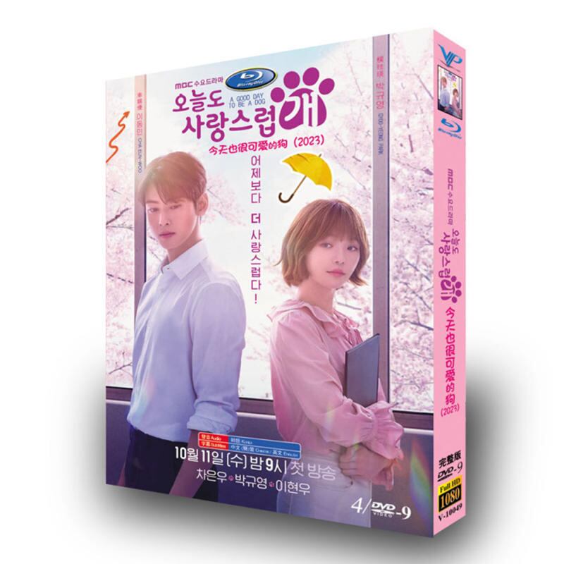 韓国ドラマ『ワンダフルデイズ』dvd高画質海外盤正規品4d9