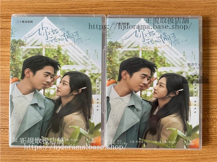 中国ドラマ『袮好呀，我的橘子恋人』DVD-BOX 梁靖康 リャンジンカン 孫千 スンチエン A Robot in the Orange Orchard 全話 中国盤