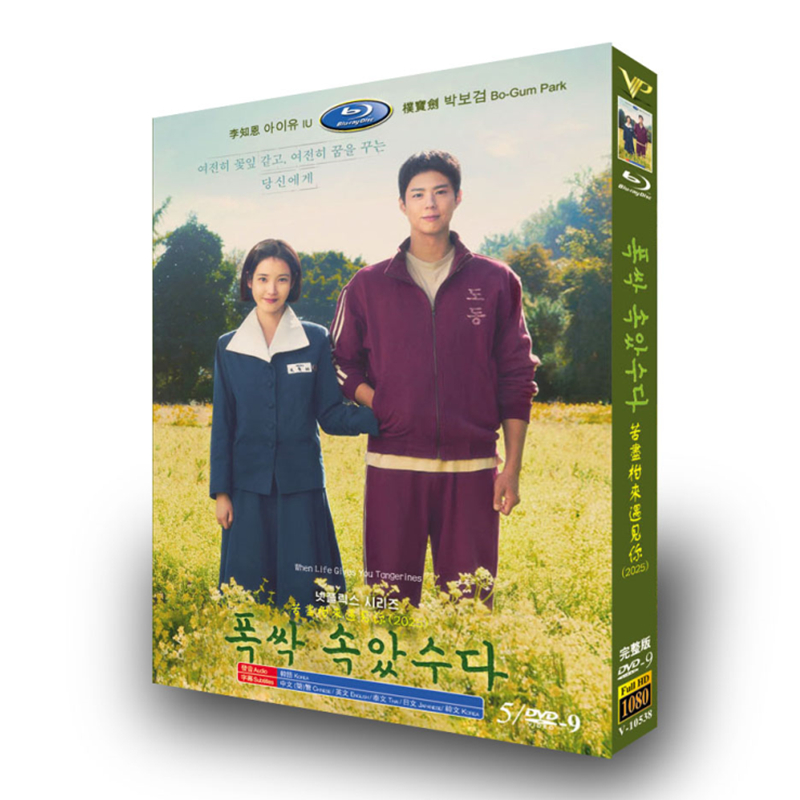 韓国ドラマ『おつかれさま』日本語字幕DVD-BOX5-DISC