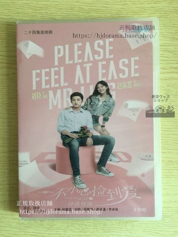 中国ドラマ『一不小心拾到愛』顧安心凌越趙露思劉特経済版DVD5枚セット全24話華流ドラマ