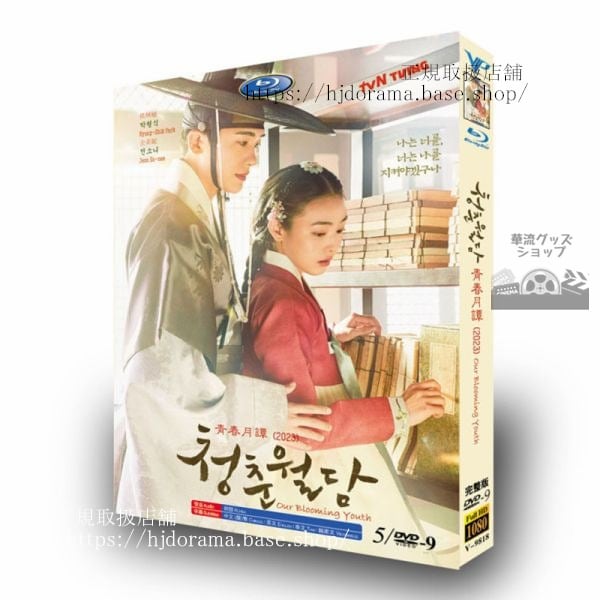 韓国ドラマ　青春ウォルダム（青春月譚/青春超壁）5D9　2023　DVDジャケット経済版　高画質　全話 海外盤