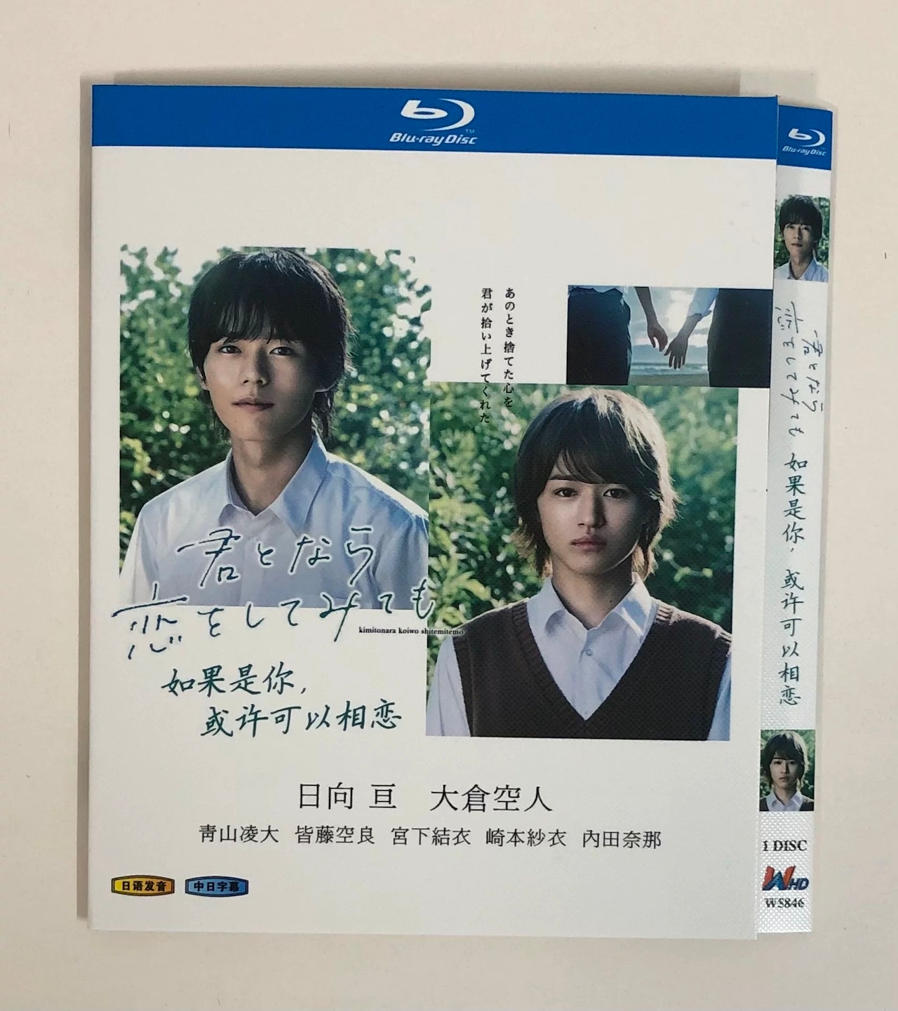 テレビドラマ「君となら恋をしてみても」 DVD ブルーレイ Blu-ray 高画質 海外正規品日本ドラマ