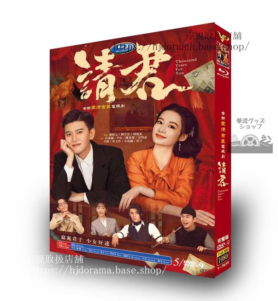 中国ドラマ日本語字幕付き 『請君／Thous ars For You』アレンレン リーチン主演　2022 DVD-BOX 全話 海外盤