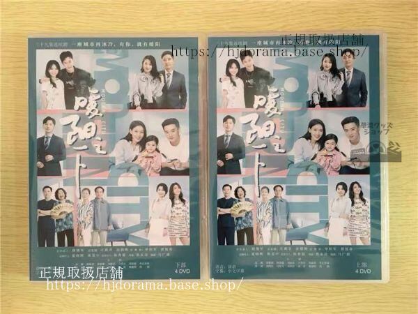 中国ドラマ『暖陽之下』DVD-BOX 高露 ガオルー 蒋毅 ジャンイー Modern City 全話 中国盤