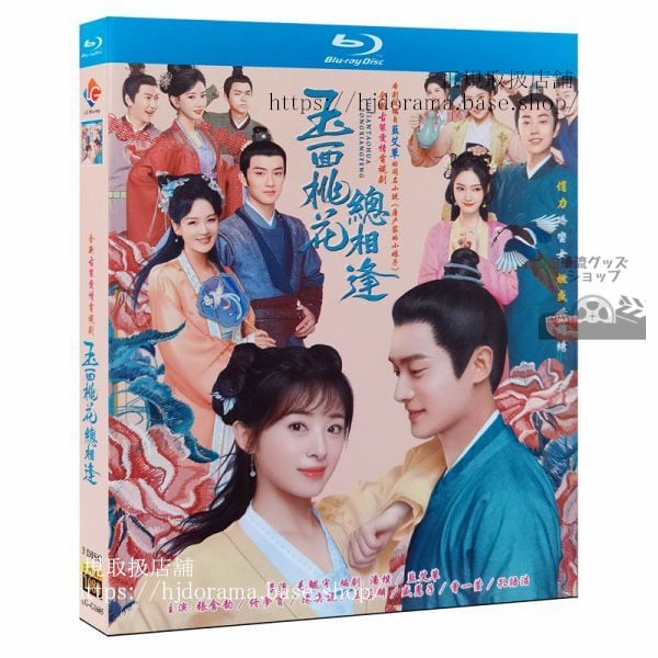 『玉面桃花相逢』DVD-BOX 張含韵 チャンハンユン トンモンシー The Lady in Butchers House海外盤正規品1080P