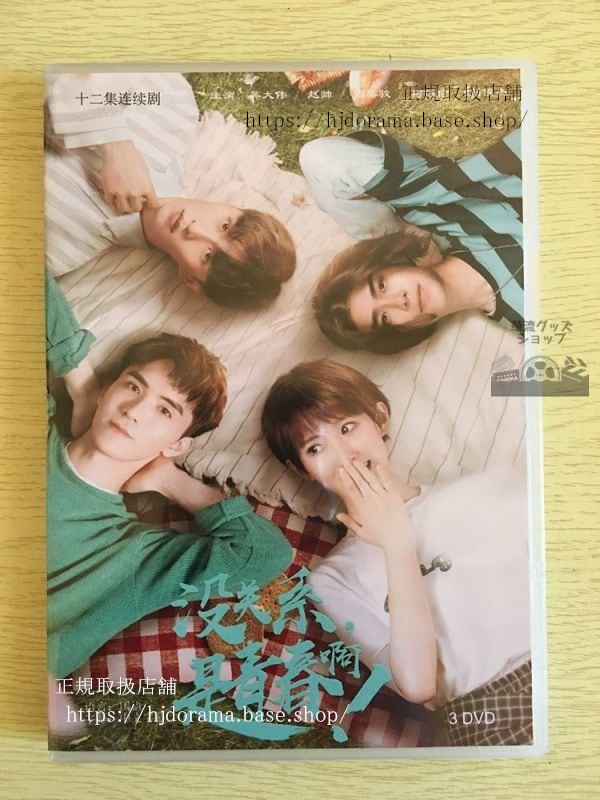 中国ドラマ『没関係，是青春』DVD-BOX 大丈夫これは青春だから 呉大偉 趙帥 張集駿 全話 中国盤 日本語字幕なし
