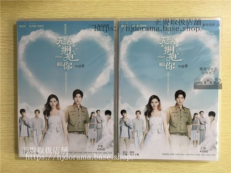 抱きしめられない君 I Cannot Hug You DVD-BOX チャンユーシー シンジャオリン海外盤華流ドラマ