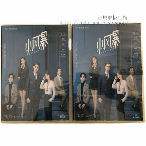 小風暴之時間的瑰』DVD-BOX 胡一天 フーイーティン 喬欣 チャオシン You Complete Me 全話 中国盤