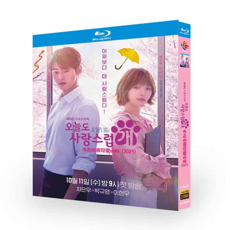 韓国ドラマ『ワンダフルデイズ』-ブルーレイ3-discblu-ray-box高画質海外盤正規品