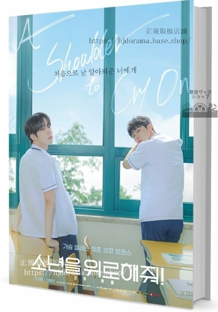 韓国ドラマ「少年をなぐさめて」. (原題：??? ????). (英題：A Shoulder To Cry On)写真集1冊 A4ポスター4枚 しおり4枚 LOMOカード10枚