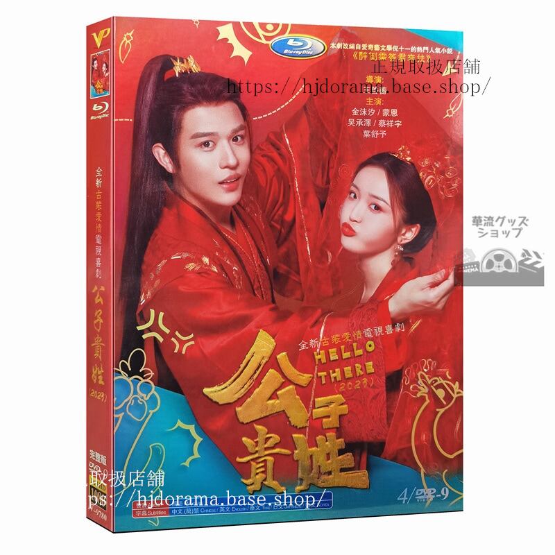 中国ドラマ　公子?姓HI MEN DVD　ジャケット経済版　高画質　全話 海外盤正規品