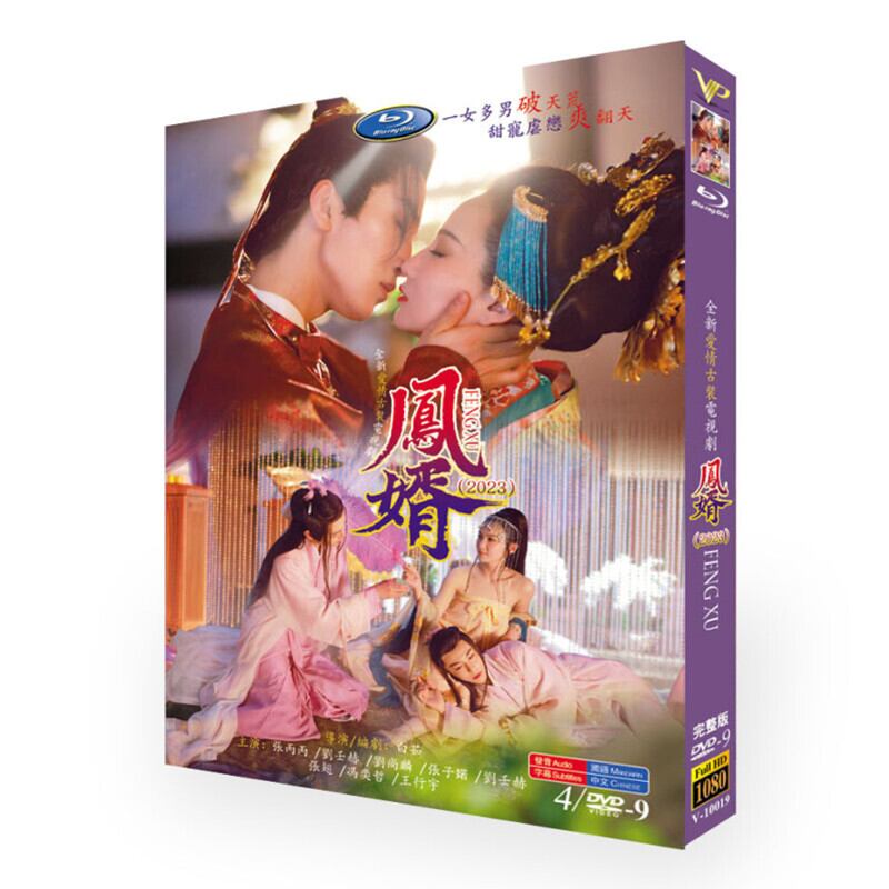 中国ドラマ 【?婿】Feng Jun's men　 DVD高画質正規品4D9