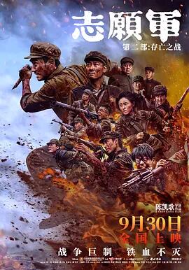 映画『志愿?：存亡之?』ブルーレイ1-DISC[Blu-ray-BOX]高画質海外盤正規品