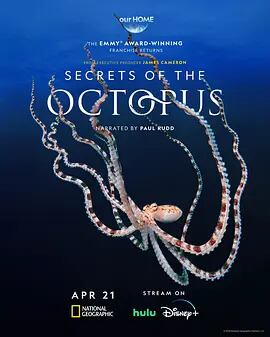 日本語字幕『Secrets of the Octopus (2024)』ブルーレイ1-DISC[Blu-ray-BOX]高画質海外盤正規品