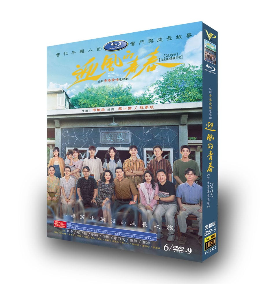中国ドラマ日本語字幕『風の中の青春』DVD高画質海外盤正規品6D9