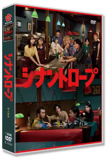 日本ドラマ「シナントロープ (2025)」 DVD-BOX 日本語字幕 7-DVD-DISC 水上恒司 山田杏奈